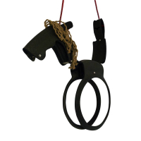 Horseswing  620838